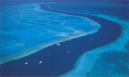 Hardy Reef