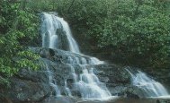 Laurel Falls