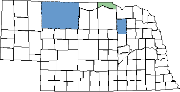 Marsh Bluet map