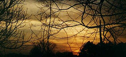 Louisiana Sunset