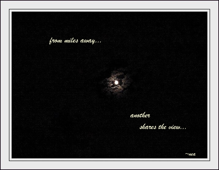 click on picture for full sized display
