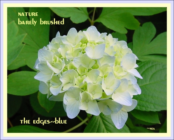 click on picture for full sized display