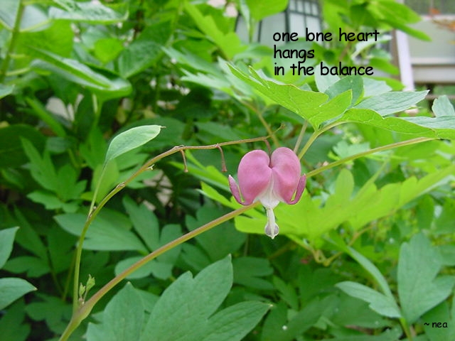 click on picture for full sized display