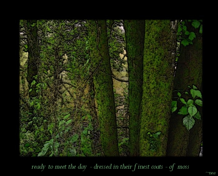 click on picture for full sized display