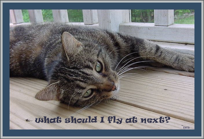 click on picture for full sized display
