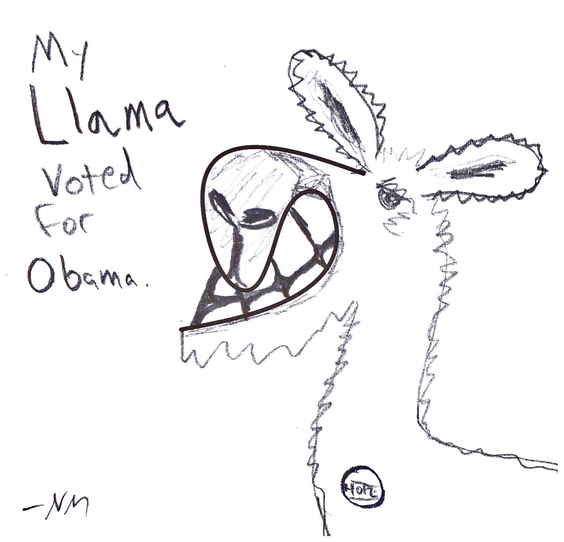 my llama voted for obama