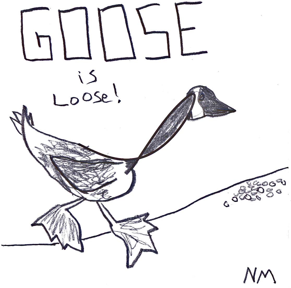 goose is loose