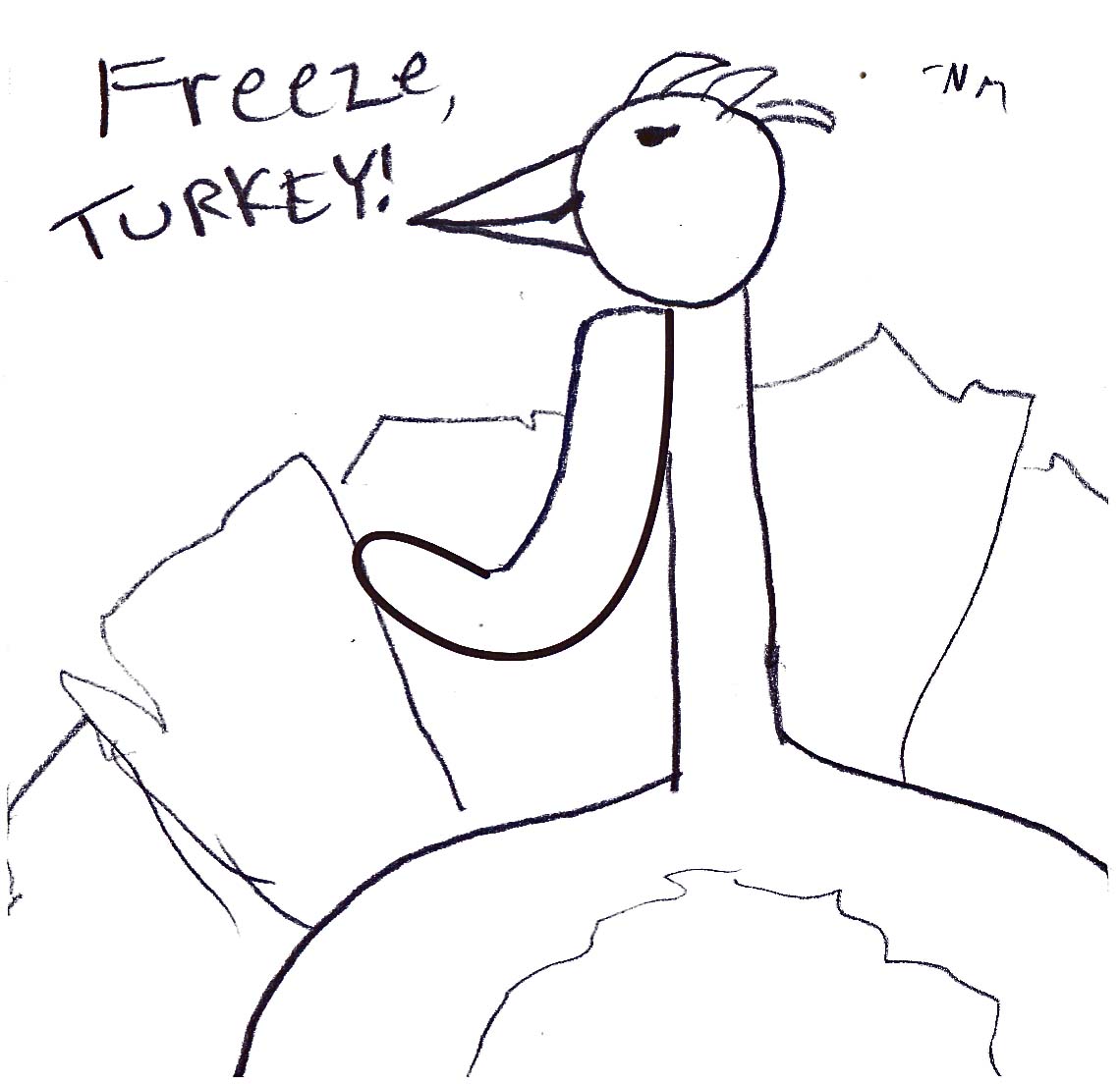 freeze turkey