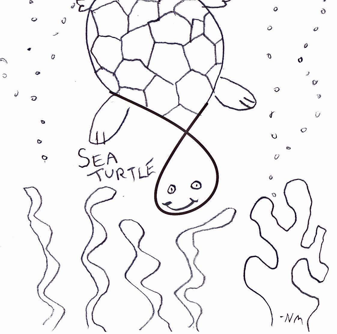 sea turtle love
