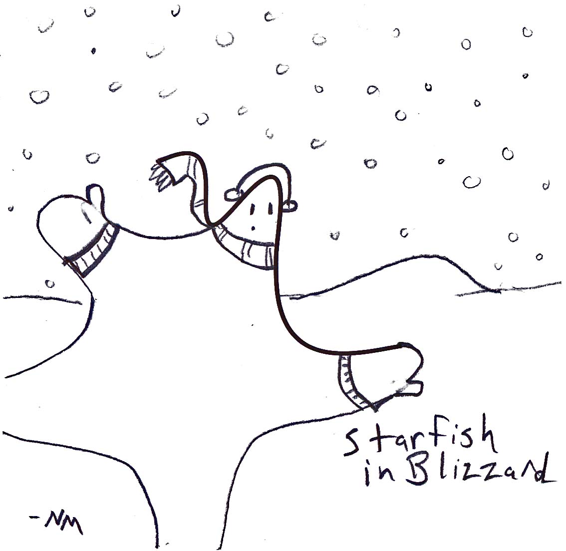 starfish in blizzard
