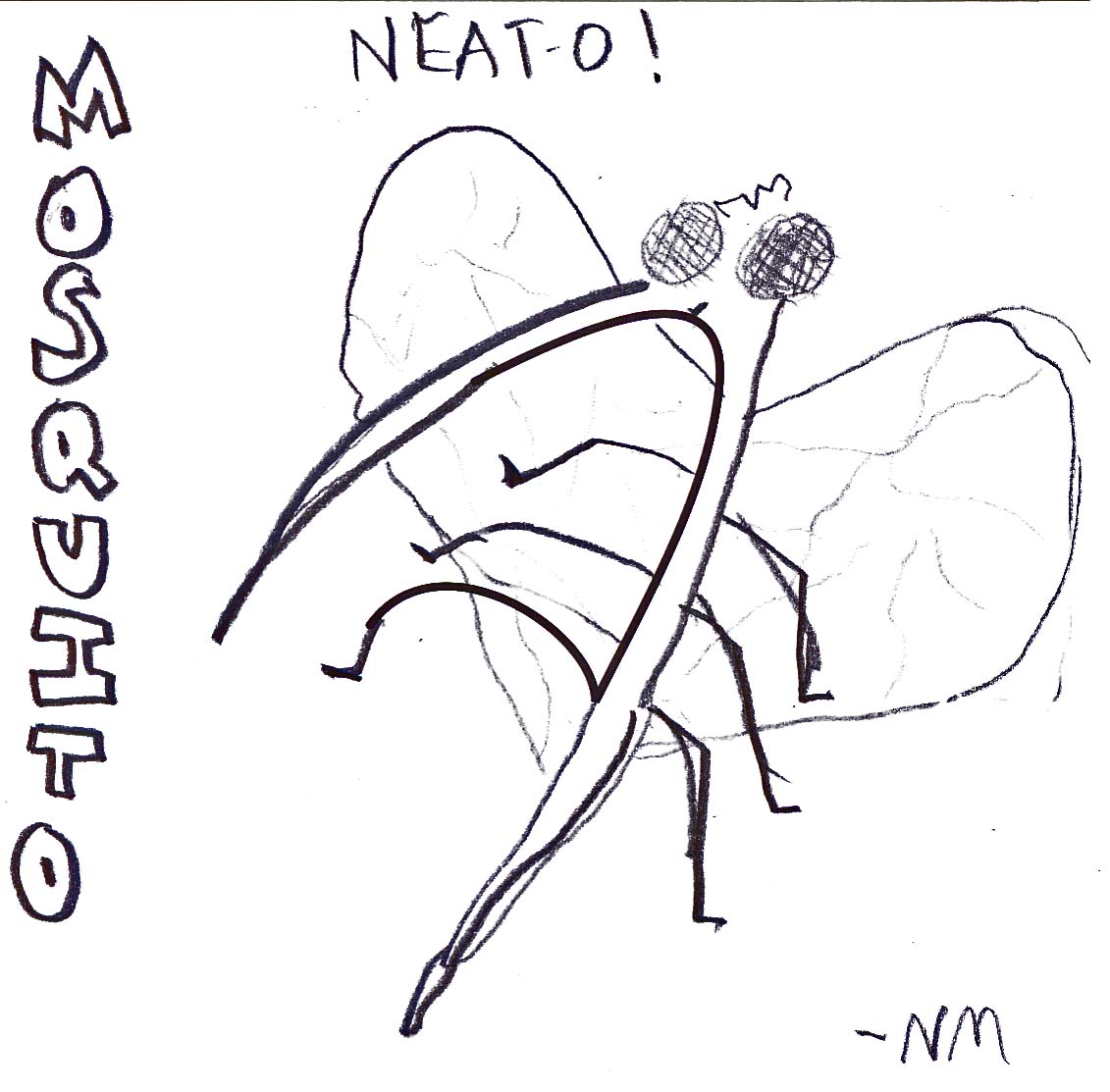 neato mosquito