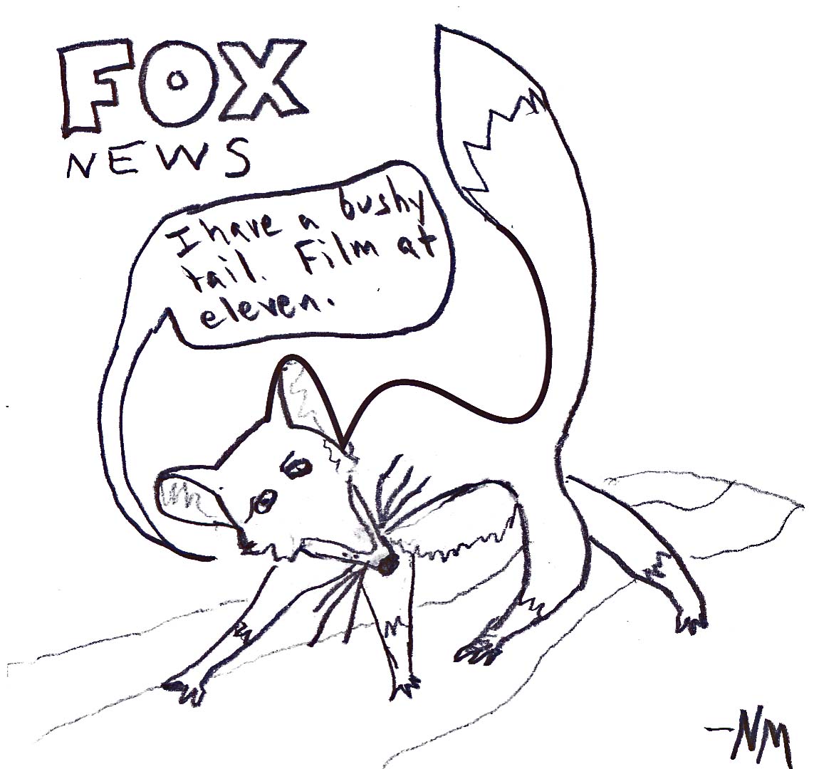 fox news