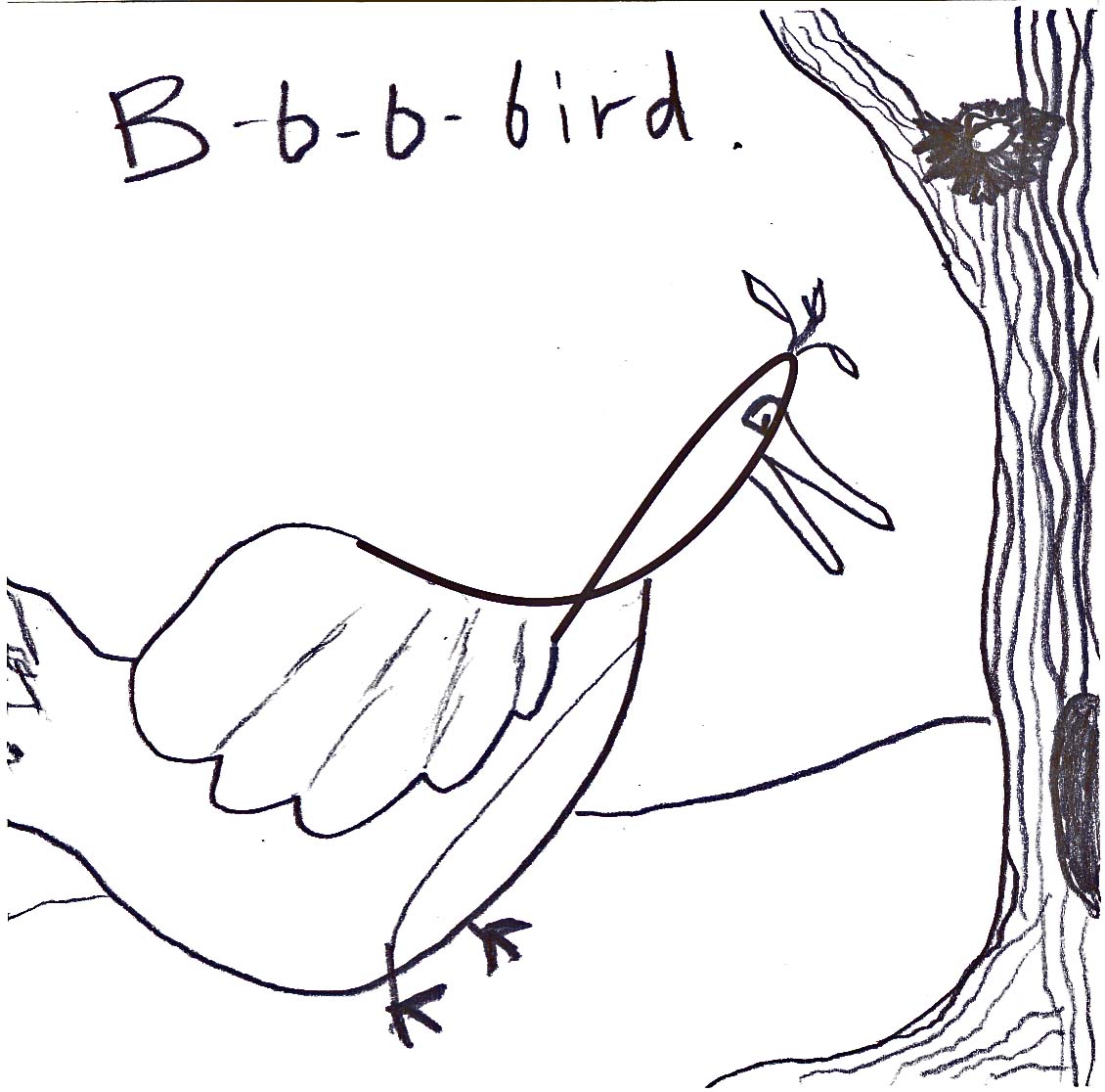 bbbbird