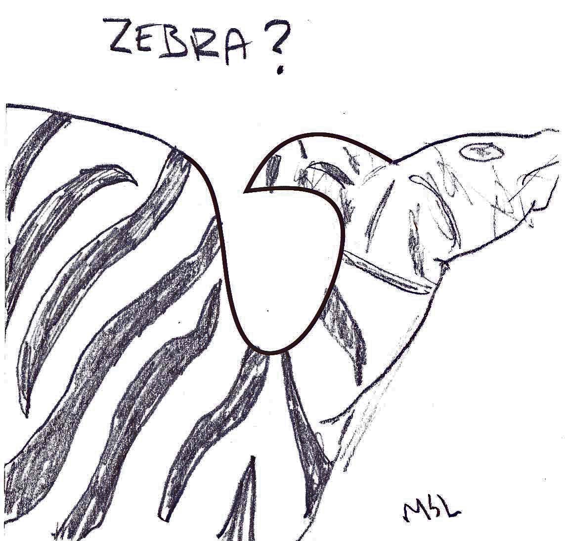 zebra?