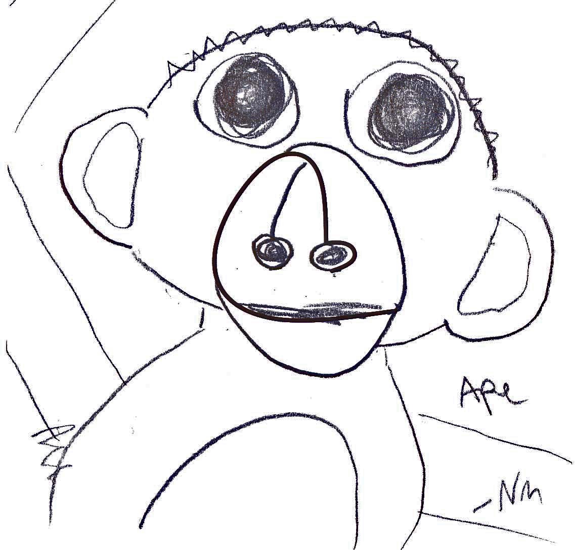 another ape