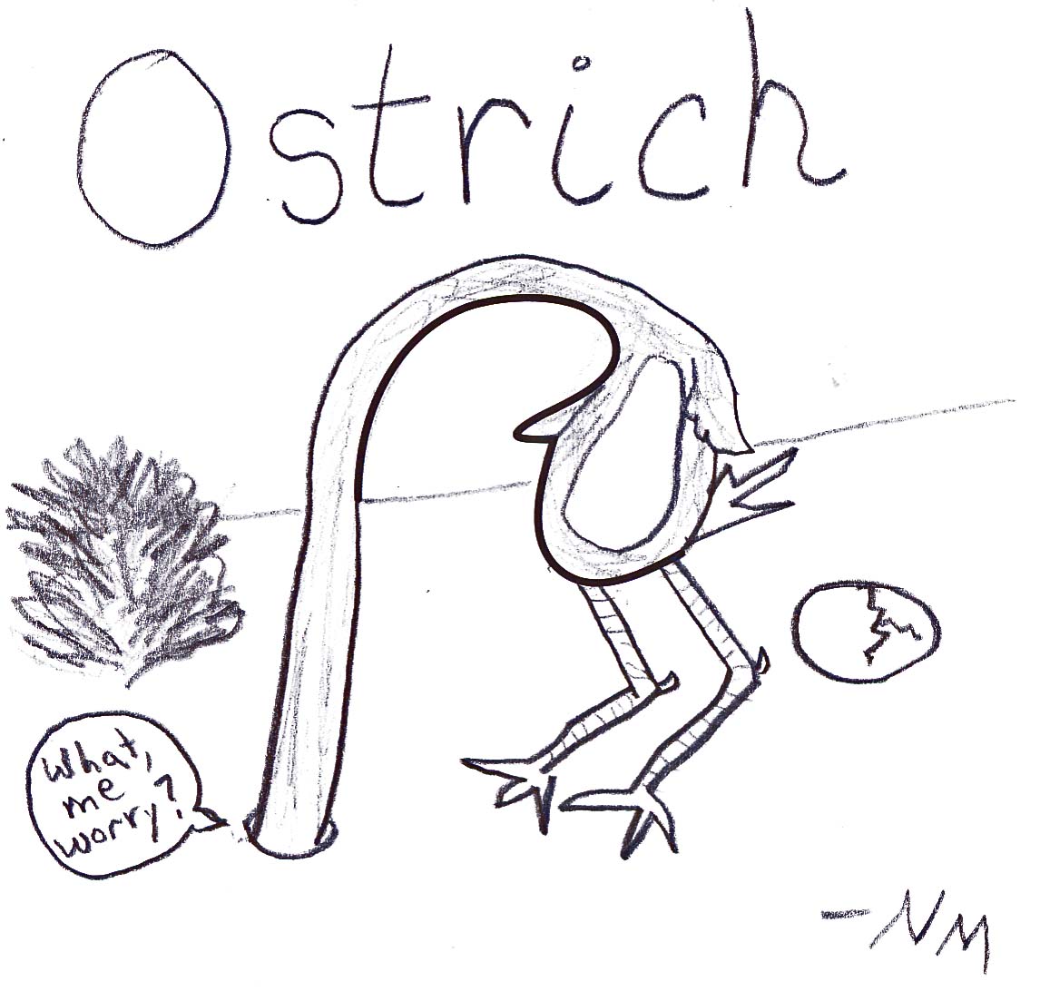 ostrich 2.0
