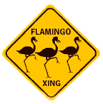 Flamingos-stop.gif (3348 bytes)