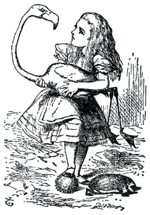 flamingo-alice.gif (63513 bytes)