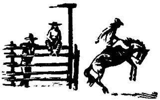 rodeo.gif (6994 bytes)
