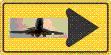 Fly