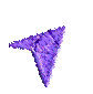 NE