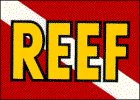 REEF