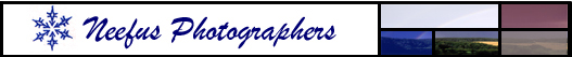 Neefus Photographers