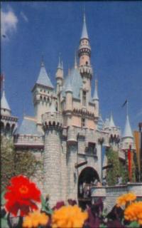 Disneyland