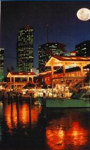 MiamiBayside