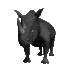 Rhinos