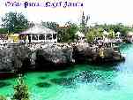 Negril's Pickle Parrot