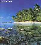 Jamaica Beach