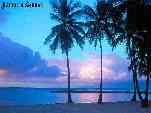 Jamaica Sunset