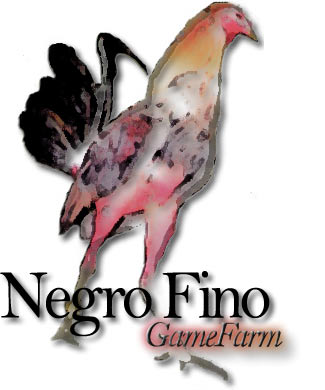 J.C Greens Negro Fino GameFarm