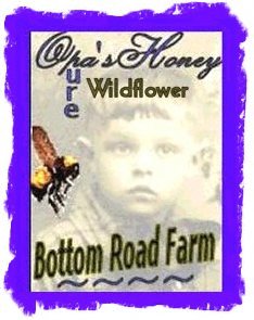 Purchase Our Pure Wildflower Honey!