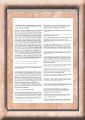 inrocks42_1992-12_11.jpeg