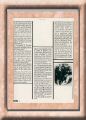 neil-csny-5-extra6-mai71.jpg