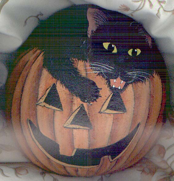a black cat