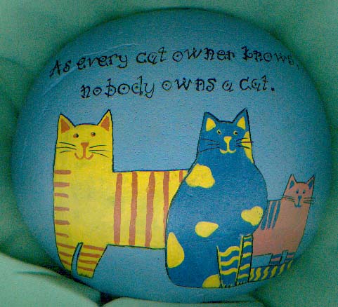 a cat