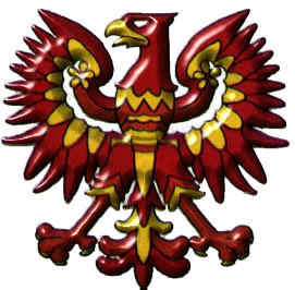 El simbolo de la Southern Cross