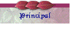 Principal