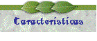 Caracteristicas