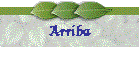 Arriba