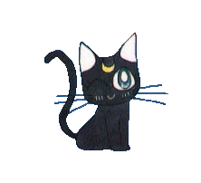luna2.gif (8629 bytes)