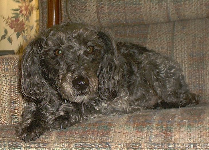 elliot picture