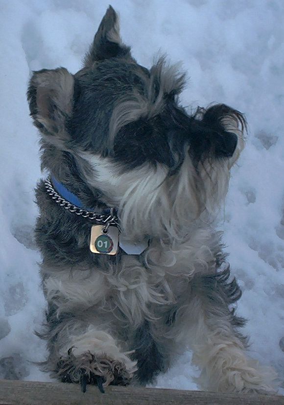elliot picture