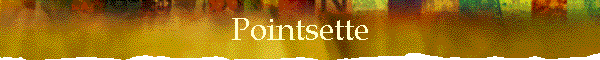 Pointsette