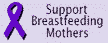 Support Breastfeeding Mothers icon