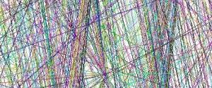 Neural
                            Network