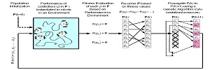 population evolution